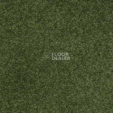 Ковролин Shaw Design Texture Platinum 324 фото 1 | FLOORDEALER