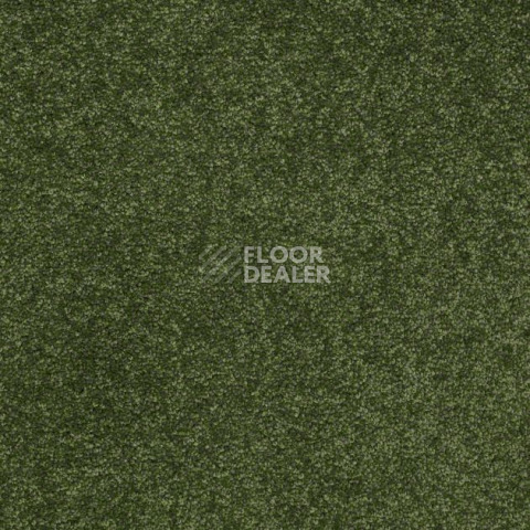 Ковролин Shaw Design Texture Platinum 324 фото 1 | FLOORDEALER