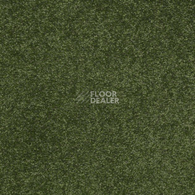 Ковролин Shaw Design Texture Platinum 324 фото 1 | FLOORDEALER