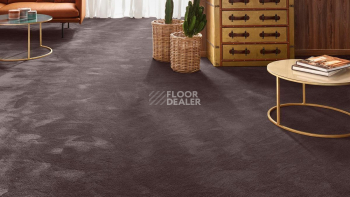Vorwerk Exclusive 1060 Safira 7g65 фото 2 | FLOORDEALER