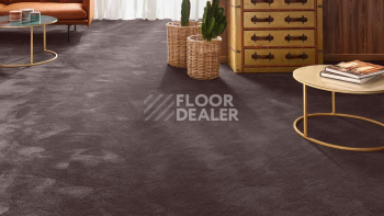 Vorwerk Exclusive 1060 Safira 7g65 фото 2 | FLOORDEALER