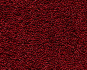 Ковролин Best Wool Pure Palace Lux 116 фото 1 | FLOORDEALER