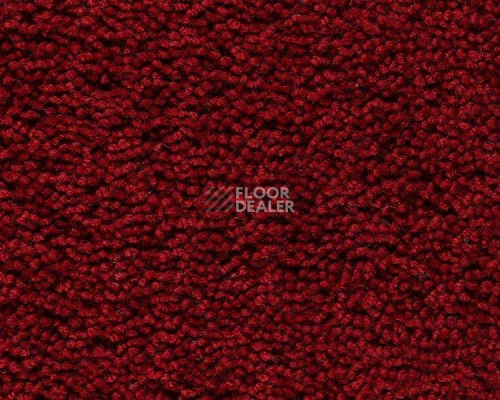 Ковролин Best Wool Pure Palace Lux 116 фото 1 | FLOORDEALER