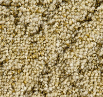 Ковролин Associated Weavers Jarek 21 фото 1 | FLOORDEALER