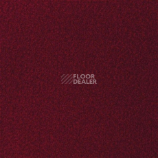 Ковролин Sintelon Velveto 79412 фото 1 | FLOORDEALER