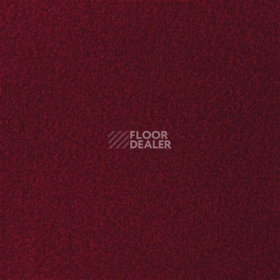 Ковролин Sintelon Velveto 79412 фото 1 | FLOORDEALER