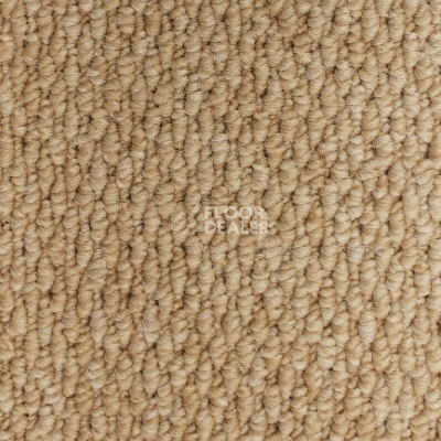 Ковролин AW Skye 30 фото 1 | FLOORDEALER