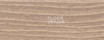Плинтус Dollken EP 60/13 2662 фото 2 | FLOORDEALER