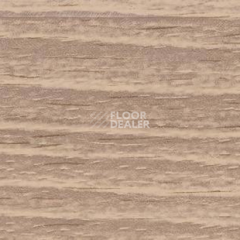 Плинтус Dollken EP 60/13 2662 фото 2 | FLOORDEALER