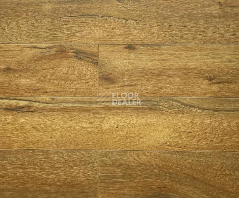 Ламинат Biela Cbm Silence 10мм 732-10 Дуб Весце фото 1 | FLOORDEALER