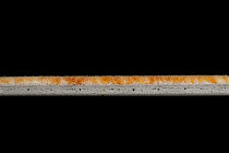 Flotex Colour Calgary 50*50 t 590008 Calgary Saffron фото 3 | FLOORDEALER