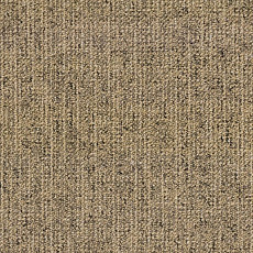 Ковровая плитка Canvas Canvas 815 фото 1 | FLOORDEALER