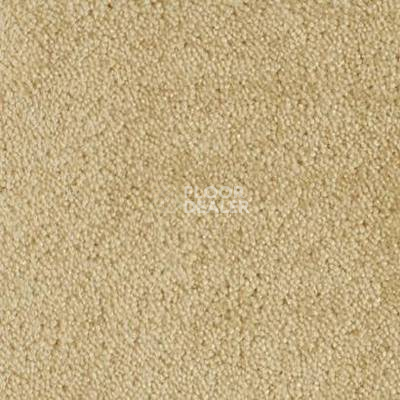 Ковролин Vorwerk Lyrica 8c38 фото 1 | FLOORDEALER
