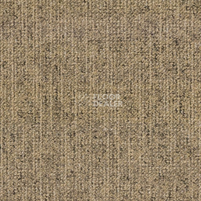Ковровая плитка Canvas Canvas 815 фото 1 | FLOORDEALER