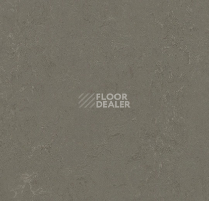 Линолеум Forbo Marmoleum Solid Concrete 3723-372335 nebula фото 1 | FLOORDEALER