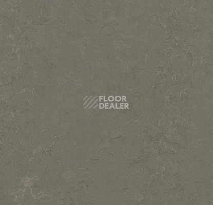 Линолеум Forbo Marmoleum Solid Concrete 3723-372335 nebula фото 1 | FLOORDEALER