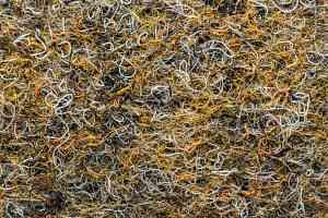 Ковролин Forbo Markant 11105 Desert фото  | FLOORDEALER