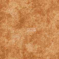 Ковролин AW Aspetto 38 фото 1 | FLOORDEALER