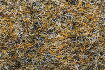 Ковролин Forbo Markant 11105 Desert фото 1 | FLOORDEALER