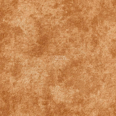 AW Aspetto 38 фото 1 | FLOORDEALER