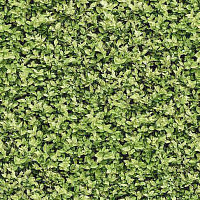 Halbmond Pure Elements 13836 фото 1 | FLOORDEALER