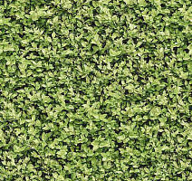 Ковролин Halbmond Pure Elements 13836 фото 1 | FLOORDEALER