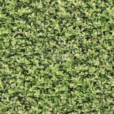 Ковролин Halbmond Pure Elements 13836 фото 1 | FLOORDEALER