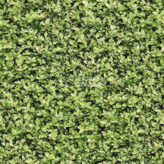 Ковролин Halbmond Pure Elements 13836 фото 1 | FLOORDEALER