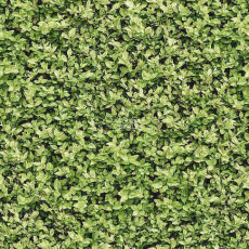 Halbmond Pure Elements 13836 фото 1 | FLOORDEALER