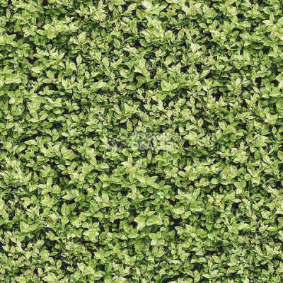 Ковролин Halbmond Pure Elements 13836 фото 1 | FLOORDEALER