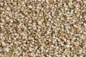 Ковролин Balsan Les Must Les Must 650 фото  | FLOORDEALER