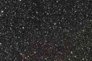 Линолеум Forbo Smaragd Classic Fr 6198 фото  | FLOORDEALER