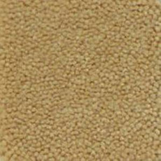 Ковролин Infloor Cliff 230 фото 1 | FLOORDEALER