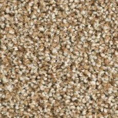 Ковролин Balsan Les Must Les Must 650 фото 1 | FLOORDEALER