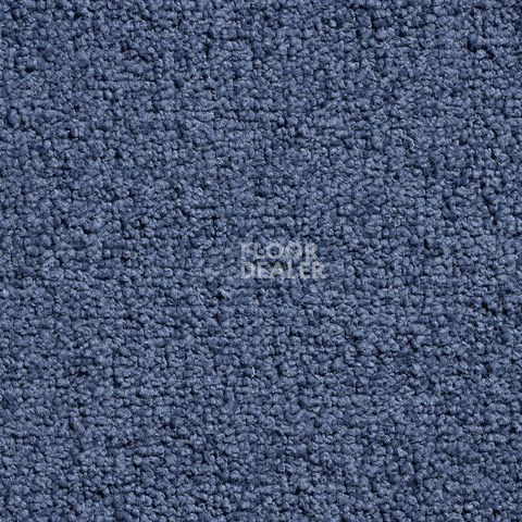 Ковролин Condor Crown Condor Crown  85 фото 1 | FLOORDEALER