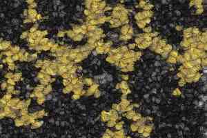 Ковролин Balsan Ilda 993 фото  | FLOORDEALER