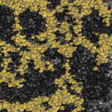 Ковролин Balsan Ilda 993 фото 1 | FLOORDEALER