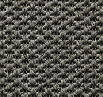 Ковролин Carpet Concept Eco Tre 6810004 фото 1 | FLOORDEALER