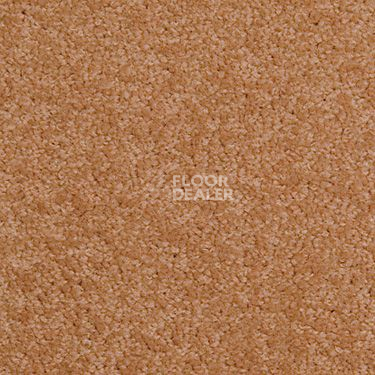 Ковровая плитка Modulyss Cambridge 386 фото 1 | FLOORDEALER