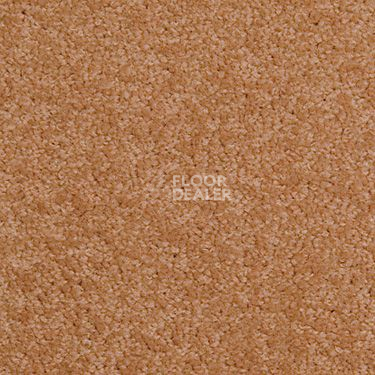 Ковровая плитка Modulyss Cambridge 386 фото 1 | FLOORDEALER