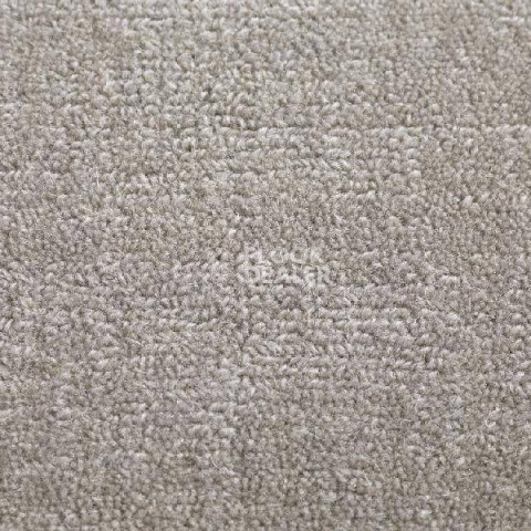 Ковролин Jacaranda Carpets Willingdon Vellum фото 1 | FLOORDEALER