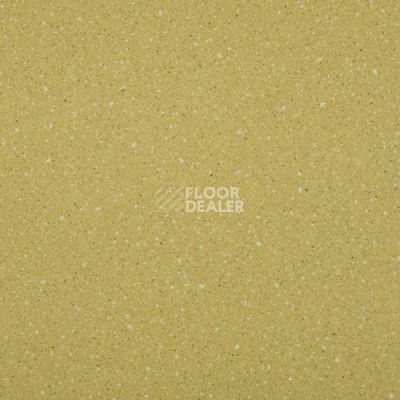 Линолеум Lg Compact CT90517 фото 1 | FLOORDEALER