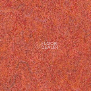 Линолеум Grabo Diamond Standart Forte 4213-475 фото 1 | FLOORDEALER