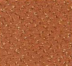 Ковролин Besmer Palatino 280 фото 1 | FLOORDEALER