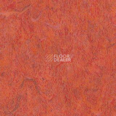 Линолеум Grabo Diamond Standart Forte 4213-475 фото 1 | FLOORDEALER