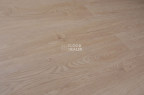 Evofloor Optima Click 4.2мм Дуб Гавана фото 5 | FLOORDEALER