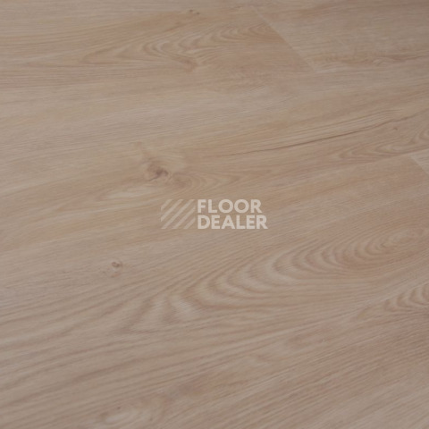 Evofloor Optima Click 4.2мм Дуб Гавана фото 5 | FLOORDEALER