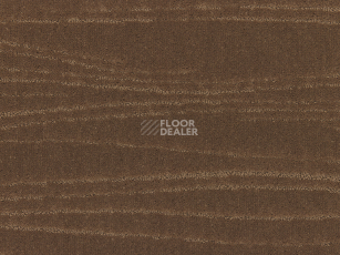Ковролин Carve Linea 261 Camel 1 фото 1 | FLOORDEALER