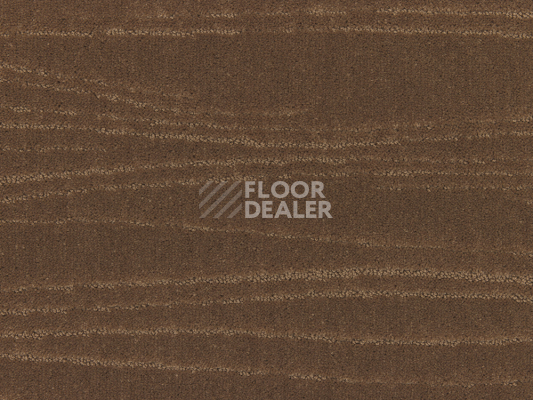 Ковролин Lano Carve Linea 261 Camel 1 фото 1 | FLOORDEALER