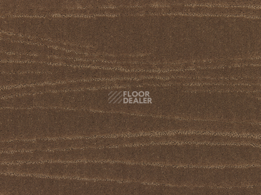 Ковролин Carve Linea 261 Camel 1 фото 1 | FLOORDEALER